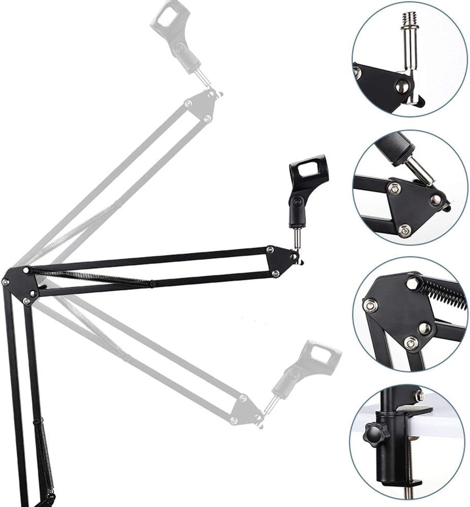 3.1 Professional Condenser Microphone