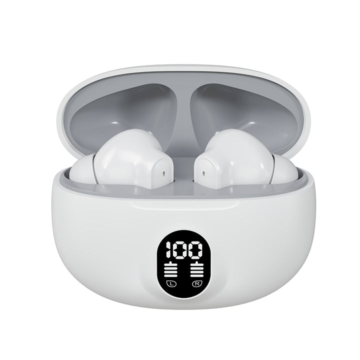 Professional Display Earbuds STEREO 895B