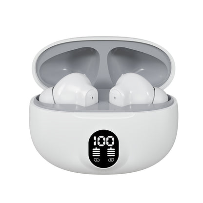 Professional Display Earbuds STEREO 895B
