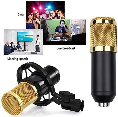 3.1 Professional Condenser Microphone