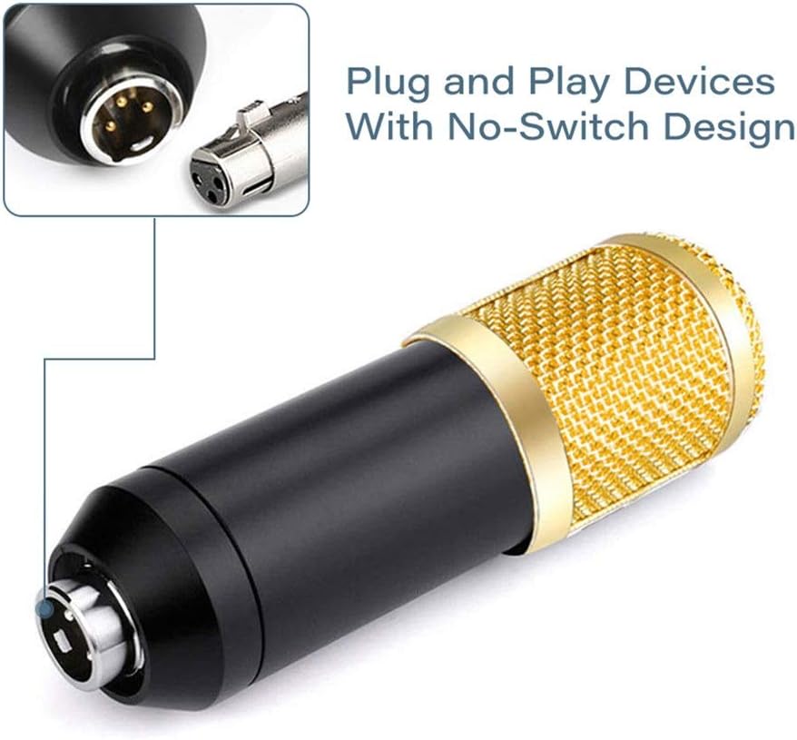 3.1 Professional Condenser Microphone