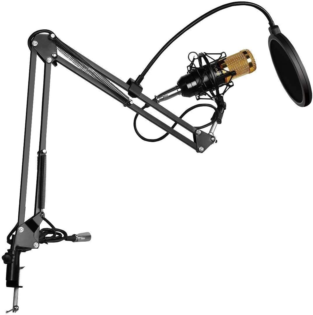 3.1 Professional Condenser Microphone