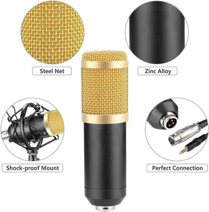 3.1 Professional Condenser Microphone