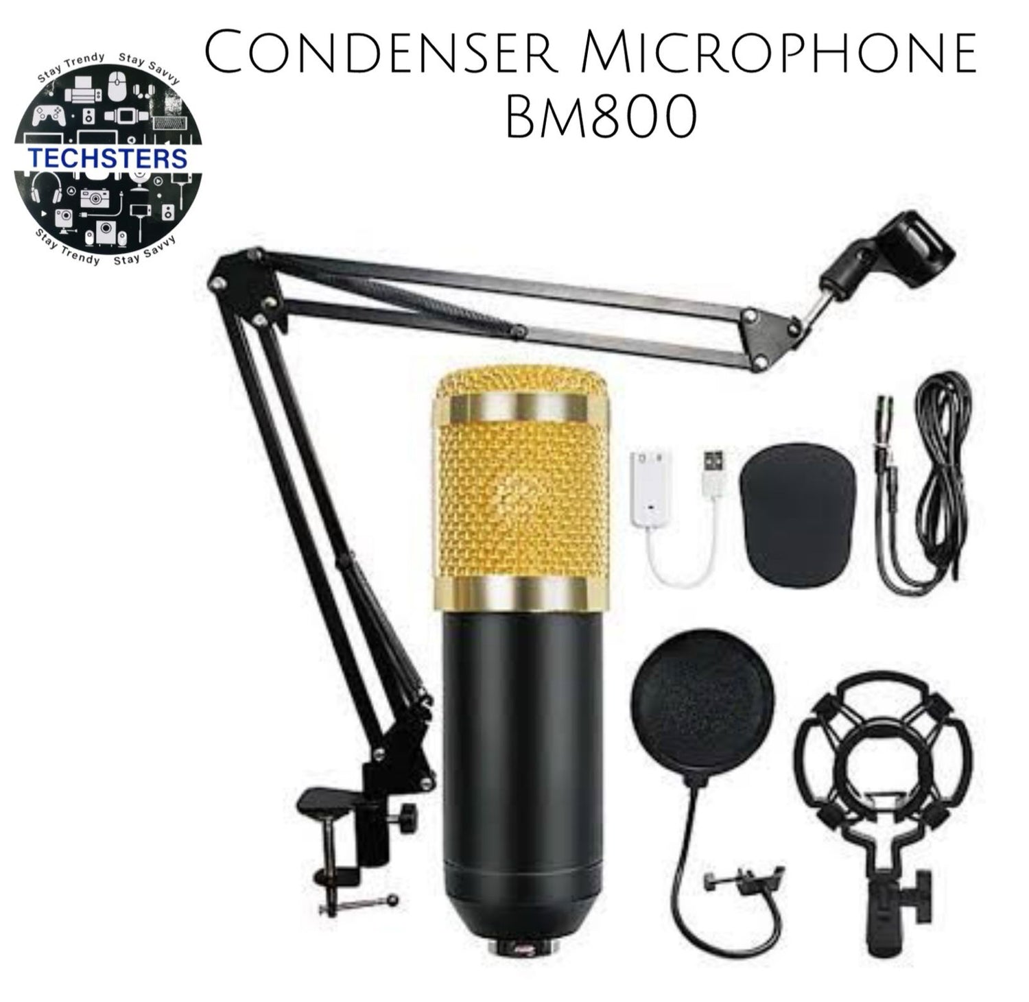 3.1 Professional Condenser Microphone