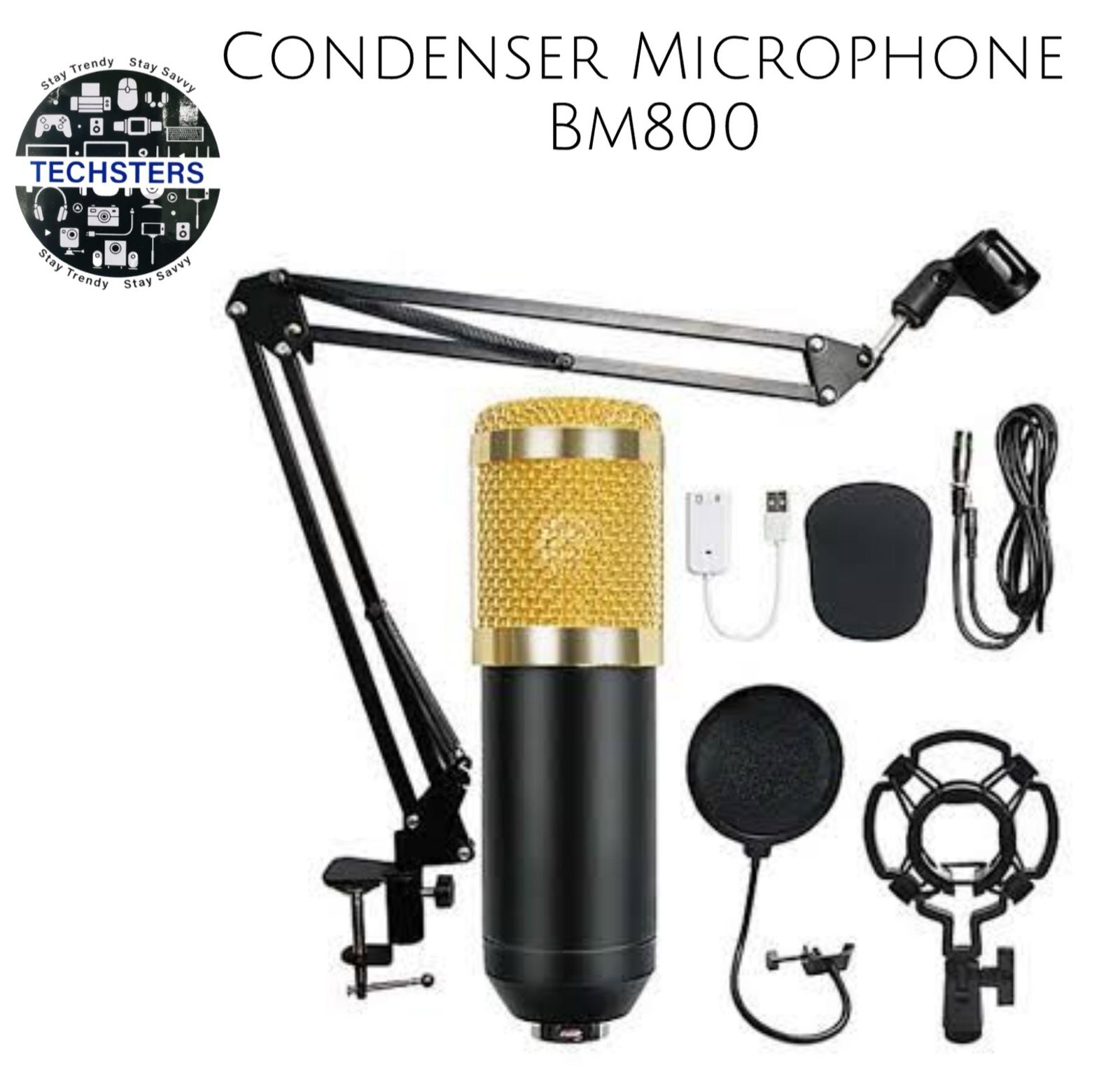 3.1 Professional Condenser Microphone